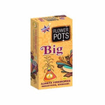 Flower Pots Big - 10 Pcs